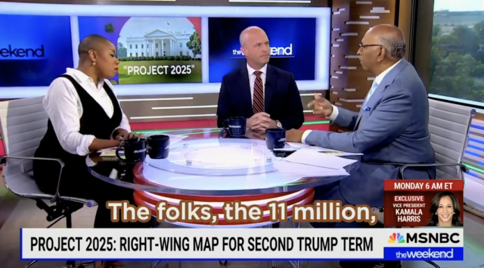 msnbc-host-melts-down-after-conservative-guest-says-‘illegal-aliens,’-doubles-down