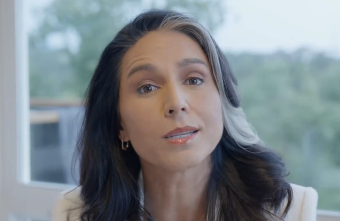tulsi-gabbard-unleashes-on-kamala-harris-in-epic-takedown tulsi-gabbard-unleashes-on-kamala-harris-in-epic-takedown