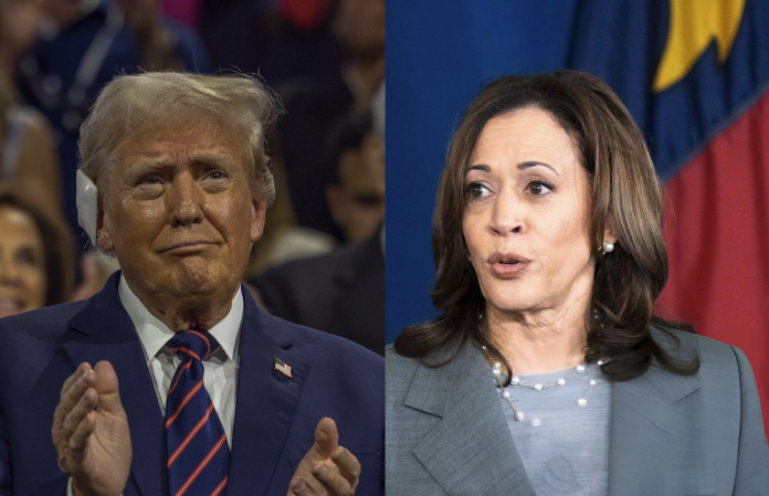 just-in:-new-poll-shows-trump-up-big-on-kamala,-crushes-democrat-momentum