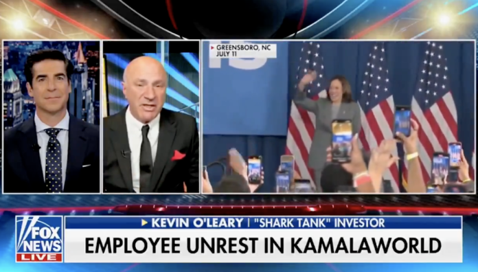 watch:-kevin-o’leary-eviscerates-kamala-harris,-calls-her-the-next-trudeau watch:-kevin-o’leary-eviscerates-kamala-harris,-calls-her-the-next-trudeau