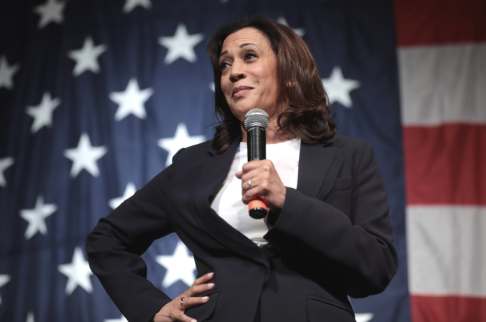 just-in:-kamala’s-‘online-support’-exposed-as-fraudulent,-well-funded just-in:-kamala’s-‘online-support’-exposed-as-fraudulent,-well-funded
