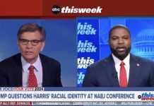 WATCH: George Stephanopoulos Throws Tantrum Over Kamala Harris’ Racial Identity watch:-george-stephanopoulos-throws-tantrum-over-kamala-harris’-racial-identity
