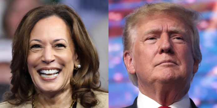 breaking:-new-general-election-poll-shows-trump-re-taking-lead-over-kamala