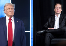 NEW: Elon Musk Is Open To A Role In Next Trump Administration new:-elon-musk-is-open-to-a-role-in-next-trump-administration