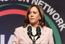 Left-Wing Outlet Turns On Kamala, Exposes Lies On Key Issue For Voters left-wing-outlet-turns-on-kamala,-exposes-lies-on-key-issue-for-voters