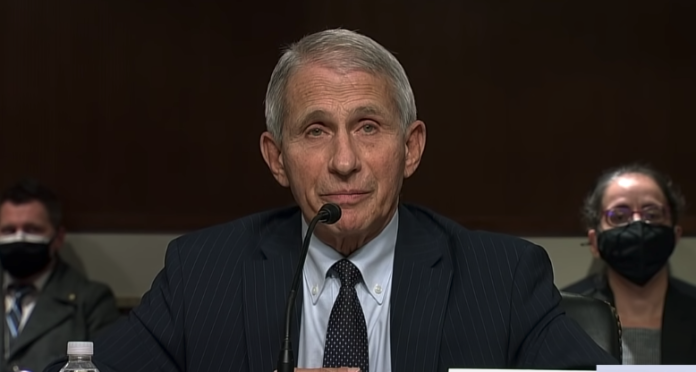dr.-anthony-fauci-hospitalized-with-west-nile-virus dr.-anthony-fauci-hospitalized-with-west-nile-virus
