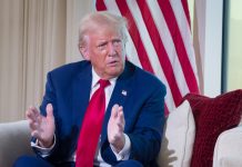 WATCH: Trump Shares New Details On Role For Elon Musk In Next Administration watch:-trump-shares-new-details-on-role-for-elon-musk-in-next-administration