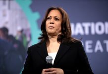 JUST IN: Cornel West Turns On Kamala, Exposes Democrats’ Desperate Attempt To BRIBE Him just-in:-cornel-west-turns-on-kamala,-exposes-democrats’-desperate-attempt-to-bribe-him