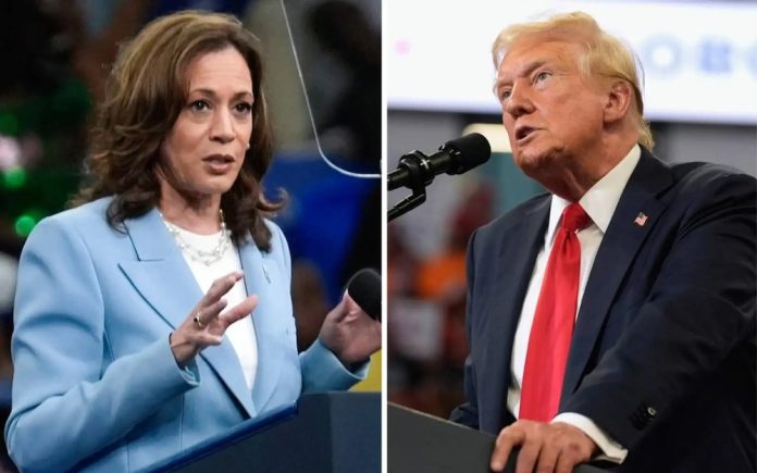 968f243c-kamala-harris-dan-donald-trump-tile-pic-4924-copy.jpg