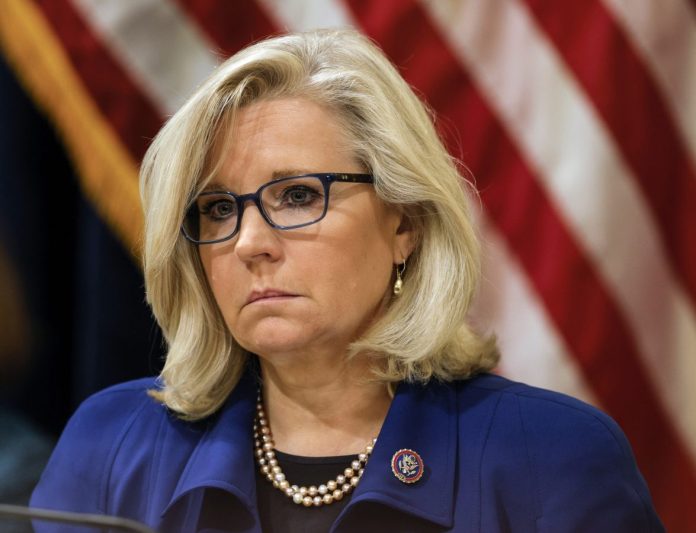 Cheney-3.jpeg