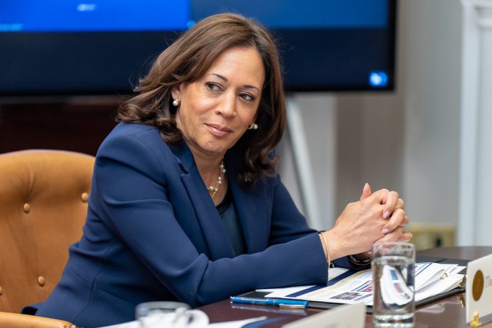 52908049214_4337a84501_b.jpg