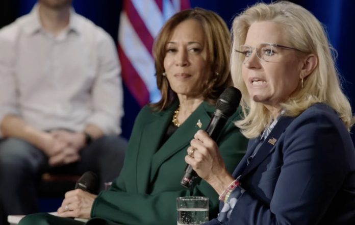 liz-cheney-kamala-harris-michigan-screenshot.jpg
