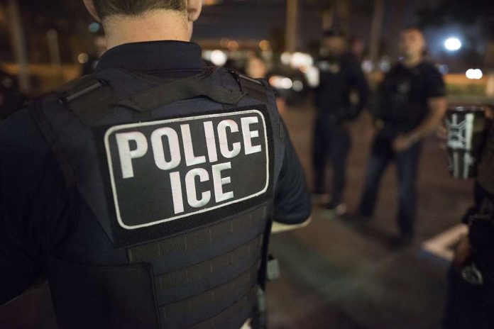 us-immigration-and-customs-enforcements-ice-enforcement-b5cb4c-1024.jpg