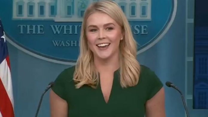 wh-press-secretary-karoline-leavitt-delivers-an-epic-response-to-snobby-french-politician-demanding-america-return-the-statue-of-liberty-to-france-video-the-gateway-pundit-2025-03-17t183050-000z