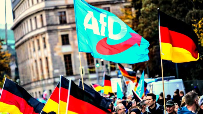 support-for-alternative-for-germany-afd-climbs-to-all-time-high-amid-globalist-push-to-ban-the-party-the-gateway-pundit-2025-03-25t234545-000z