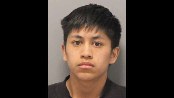 police-illegal-from-guatemala-charged-with-violent-murder-of-two-month-old-daughter-the-gateway-pundit-2025-03-13t232053-000z