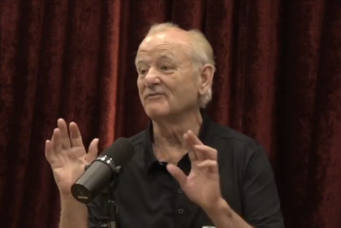 Murray.jpg