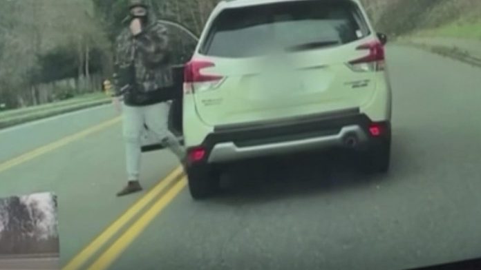 masked-maniac-terrorizes-liberal-woman-for-driving-tesla-in-seattle-suburb-demands-she-sell-nazi-car-in-unhinged-attack-the-gateway-pundit-2025-03-21t163010-000z