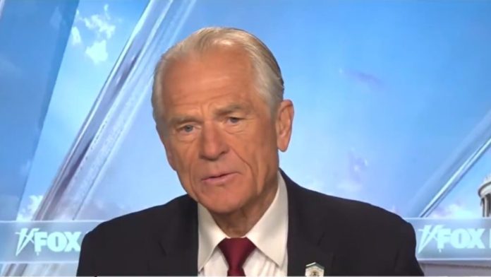 peter-navarro-discusses-president-trumps-tariffs-with-shannon-bream-tariffs-are-tax-cuts-video-the-gateway-pundit-2025-03-30t192015-000z