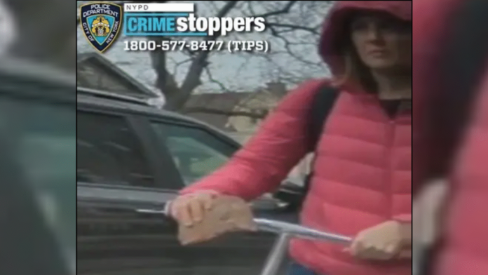woke-brooklyn-therapist-accused-of-leaving-brick-scrawled-with-nazi-on-tesla-in-jewish-neighborhood-facing-hate-crime-charges-the-gateway-pundit-2025-04-19t182050-000z