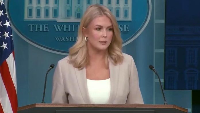 karoline-leavitt-shuts-down-fake-news-reporter-for-latest-hoax-claiming-trump-deported-innocent-maryland-father-video-the-gateway-pundit-2025-04-01t200007-000z