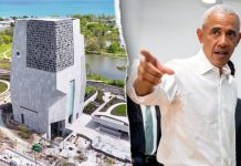 Obama Center Called ‘Activism Hub,’ Not Library, on Public Land