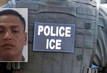 Sanctuary County Freed Illegal ‘Predator’ Who Then Attacked Virginia Women