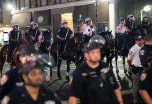 Taxi Driver Pulled From Cab, Injured During Knicks Championship Celebrations