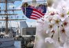 Allies Celebrate America’s 250th Birthday With Cherry Trees, Tulips, and Gifts