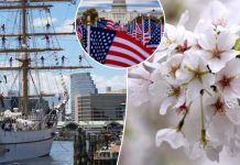 Allies Celebrate America’s 250th Birthday With Cherry Trees, Tulips, and Gifts