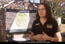 California Law Drives Textile Companies Out of State With Recycling Mandates
