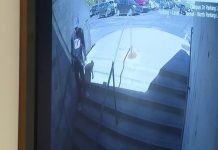 Kirk Assassination Trial: DNA Evidence Links Suspect to Rifle at Scene