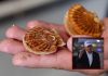 Trump Declares National Scallops Day — Reopens East Coast Waters to Fishermen