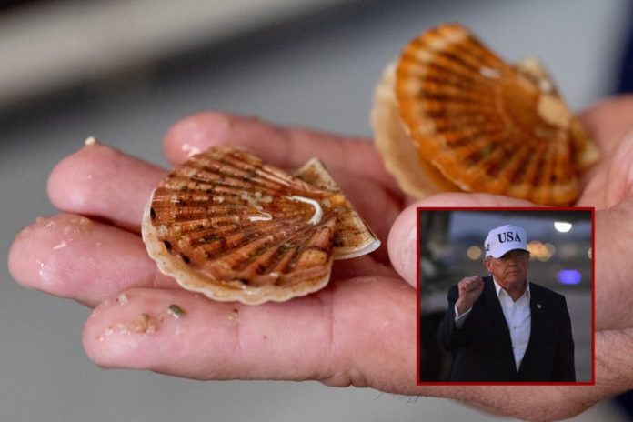 trump-declares-national-scallops-day-reo