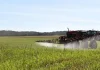 Trump EPA Rejects Activist Definition Of ‘Forever Chemicals’ In Pesticide Approvals