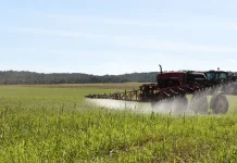 Trump EPA Rejects Activist Definition Of ‘Forever Chemicals’ In Pesticide Approvals