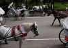 VIDEO: 18-Year-Old Tourist Dies After Runaway Central Park Carriage Crash