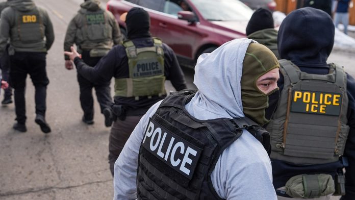 federal-judge-blocks-new-york-s-ice-mask