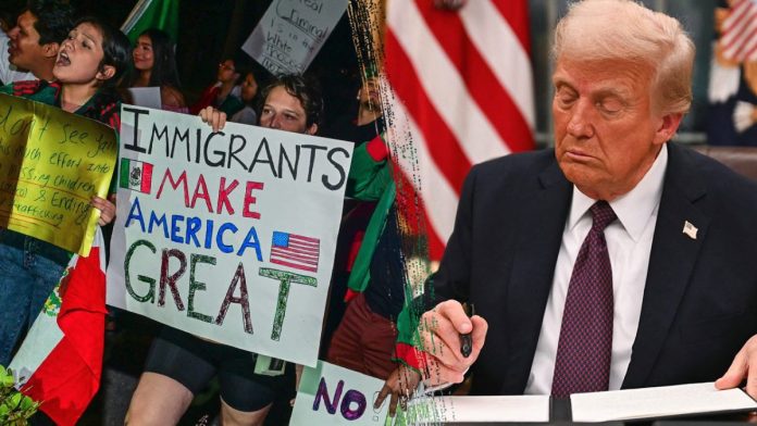 federal-judge-clears-trump-to-end-somali