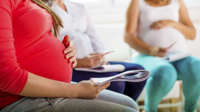 rep-hageman-to-trump-close-birth-tourism