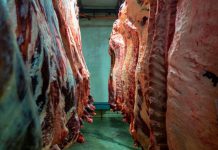Trump Announces 90-Day Tariff Waiver For 300,000 Metric Tons Of Beef Imports