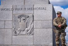 Trump on WWII Memorial Vandals: ‘Where Do These Animals Come From?’
