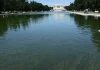 Trump Publicly Disagrees With Jeanine Pirro Over Reflecting Pool Case