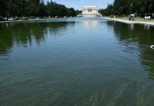 Trump Publicly Disagrees With Jeanine Pirro Over Reflecting Pool Case