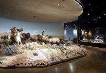 Congressman Grills Smithsonian Director Over ‘Stolen Land’ Claims