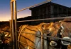 Trump Beef Plan Expands Argentina Imports — Ranchers Warn of Revenue Hit