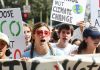 Leaked Call Exposes Far-Left Groups Plotting to Defeat Bipartisan Energy Deal