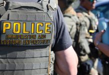 NY Democrats Revive Nullification to Block Trump Immigration Enforcement