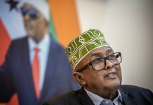Somaliland President: Trump ‘Could Make More History’ by Recognizing Our Nation
